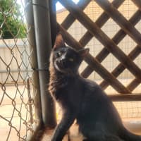 Photo of Jet