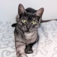 Photo of Sid