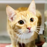 Photo of Elfie And Zorra 