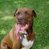 Photo of Wally