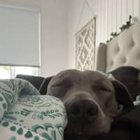 Photo of Bonnie