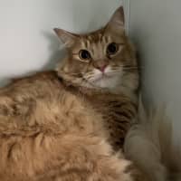 Photo of Bon