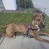 Photo of Tank