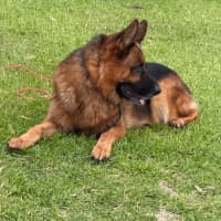 Photo of Stanley