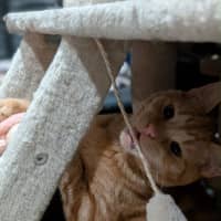 Photo of Alistair