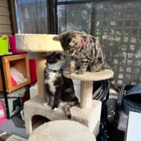 Photo of Delilah & Elfie