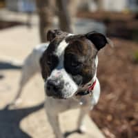 Photo of 🦒 Howard 6446 🦒