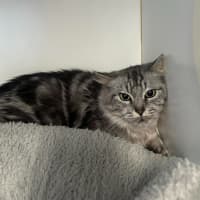 Photo of Hershey