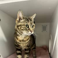Photo of Wilma