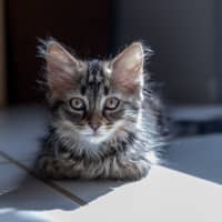 Photo of Zoey Moonlight