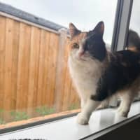 Photo of Lola