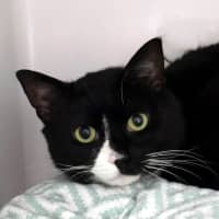 Photo of Hugo Sta012822