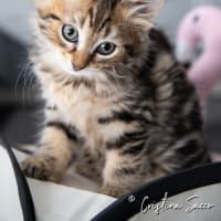 Photo of Maddie