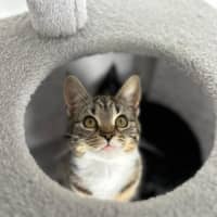 Photo of Angelette