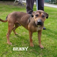Photo of Benny