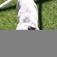 Photo of Missy
