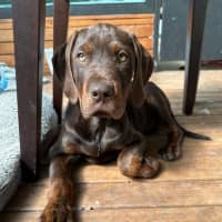 Photo of Tex (Was Maurice)