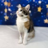 Photo of Florence   Located In Preston