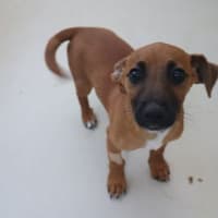 Photo of Mable