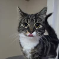 Photo of Tuxy