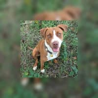 Photo of Bianca (Aka Vicki)