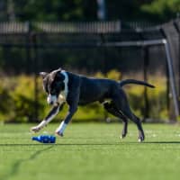 Photo of Michael Imp 887