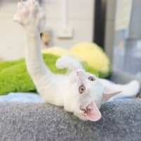 Photo of Baby