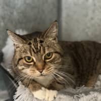 Photo of Kizzie