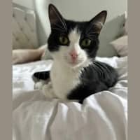 Photo of Amora