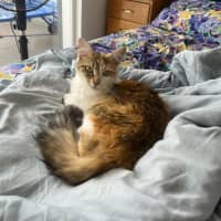 Photo of Kiki