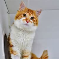 Photo of Macaroni Bob