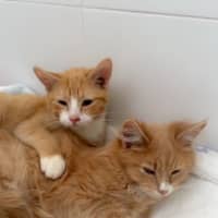 Photo of Teddy & Alexander