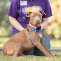 Photo of Enid