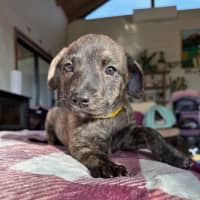 Photo of Clue