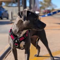 Photo of Bumble