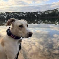 Photo of Dolly Pawton