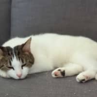 Photo of Mazzy