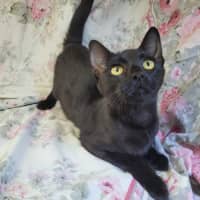 Photo of Pretzel 🥨