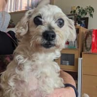 Photo of Simon Babbington