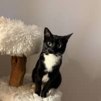 Photo of Pip
