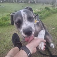 Photo of Buddy Two