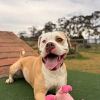 Photo of Meekah