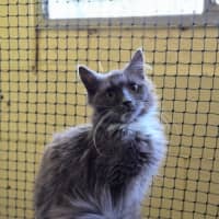 Photo of Molly