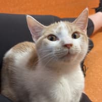 Photo of Simon