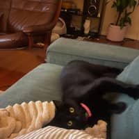 Photo of Moni