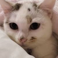 Photo of Nami