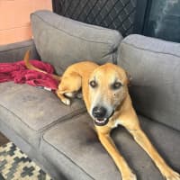Photo of Delilah