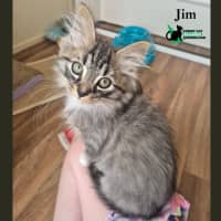 Photo of Jim Halpert