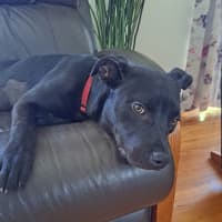 Photo of Zara
