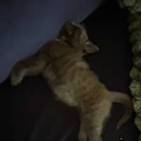 Photo of Billy